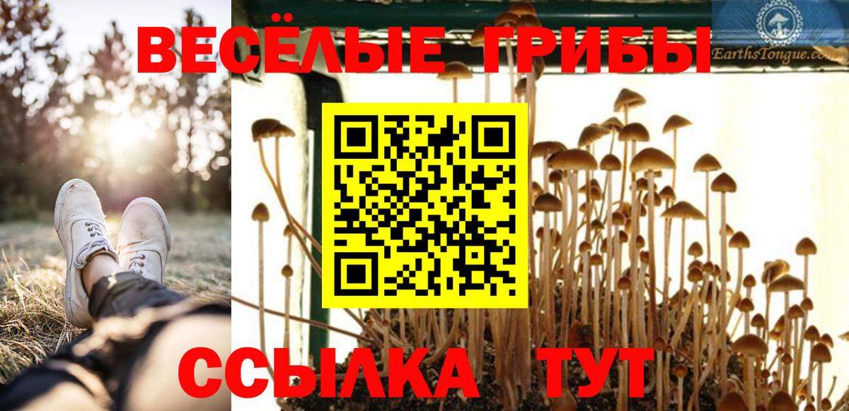 Псилоцибиновые грибы ЛСД  где можно купить наркотик  Углич  Вход с VPN  Галлюциногенные грибы Cubensis 